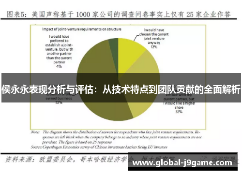 侯永永表现分析与评估：从技术特点到团队贡献的全面解析