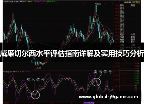 威廉切尔西水平评估指南详解及实用技巧分析